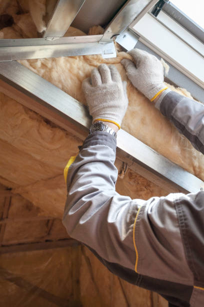 Best Geographic-Specific Insulation Services in East Moline, IL