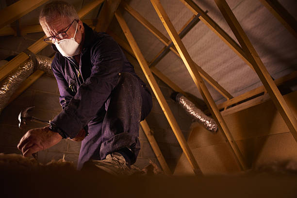 Types of Insulation We Offer in East Moline, IL